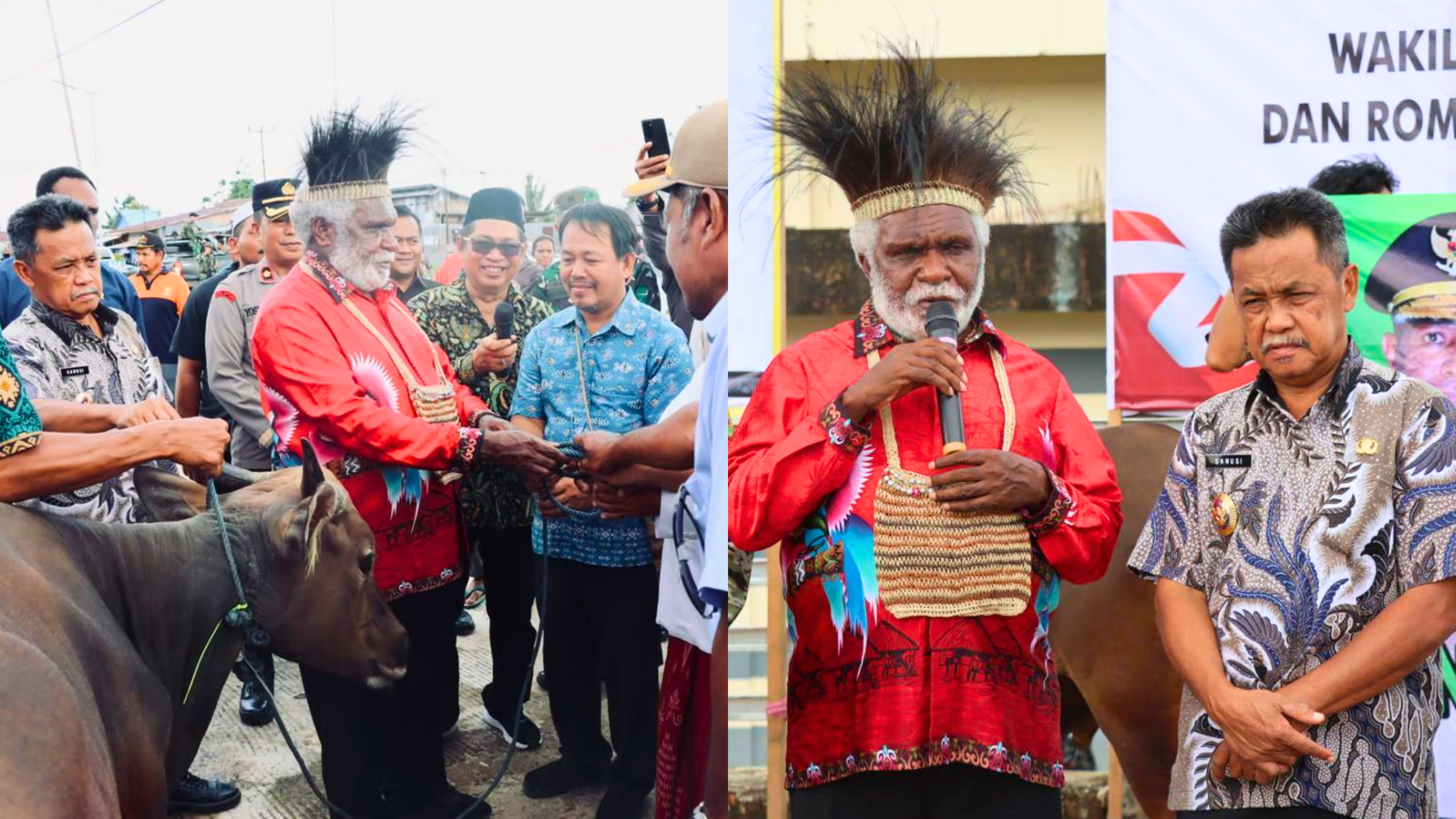 Jelang Idul Adha, Wagub PPS Serahkan Hewan Kurban kepada Pengurus Masjid di Kab. Mappi